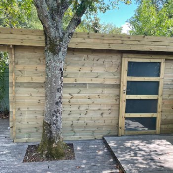 Abri de jardin en bois Toit Terrasse